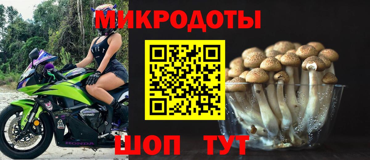 Псилоцибиновые грибы ЛСД Коряжма