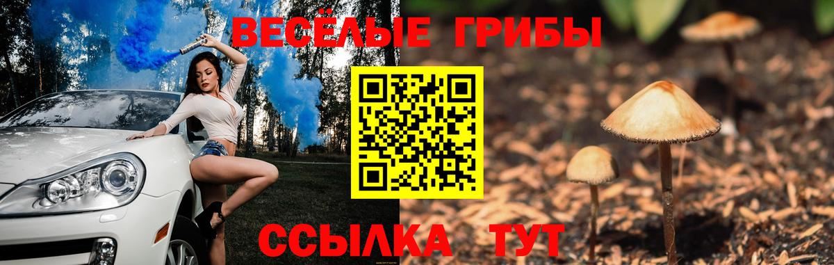 Псилоцибиновые грибы Psilocybine cubensis  Вход с VPN  Коряжма 