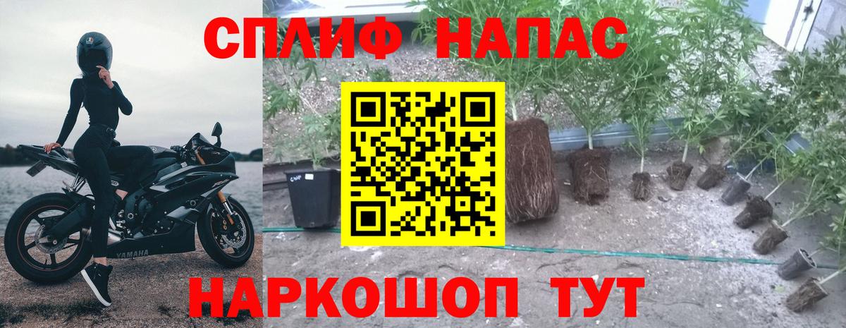 Канабис конопля  Канабис план  Коряжма  Конопля индика  Вход с VPN 